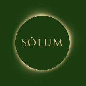 logo solum roma vinile estivo